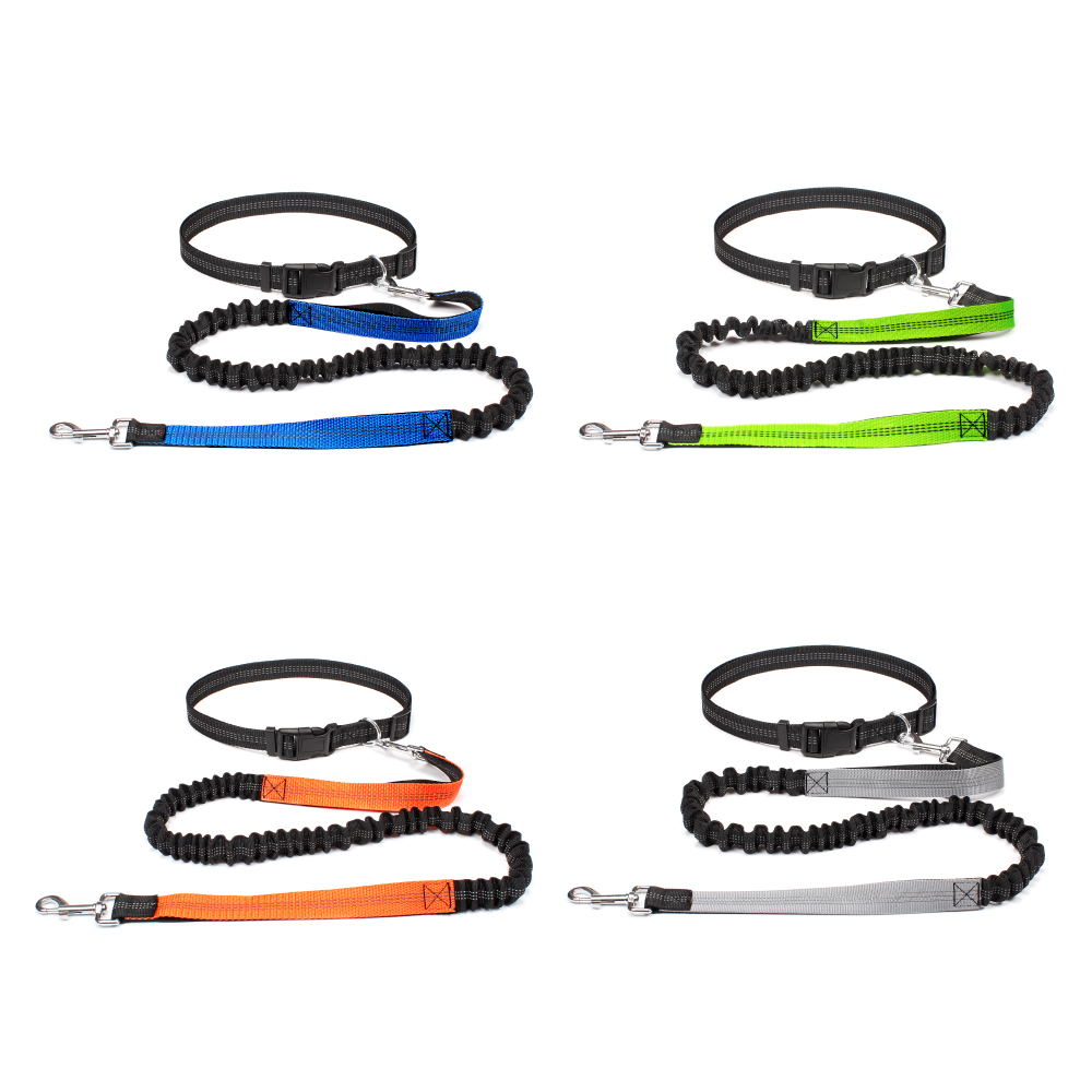ハンズフリー犬用リード、ペットの散歩、ランニング、ジョギング - Running Gear Holder のレビューと価格