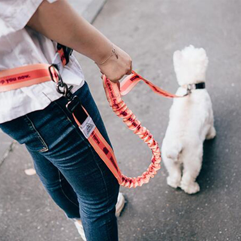 調節可能なハンズフリー犬のリード犬ペットウォーキングランニン - Running Gear Holder のレビューと価格