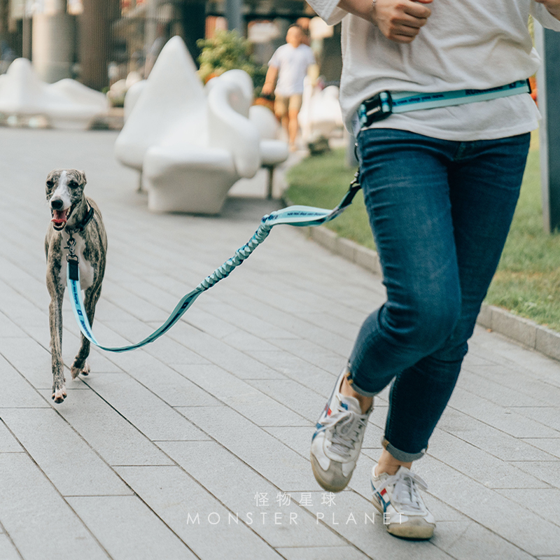 調節可能なハンズフリー犬のリード犬ペットウォーキングランニン - Running Gear Holder のレビューと価格