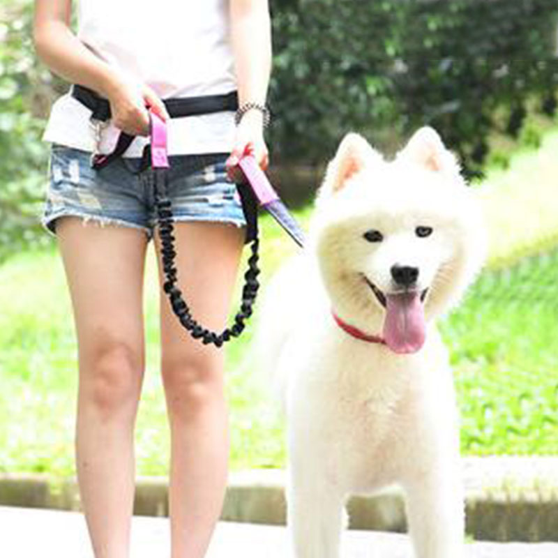 調節可能なハンズフリー犬のリード犬ペットウォーキングランニン - Running Gear Holder のレビューと価格